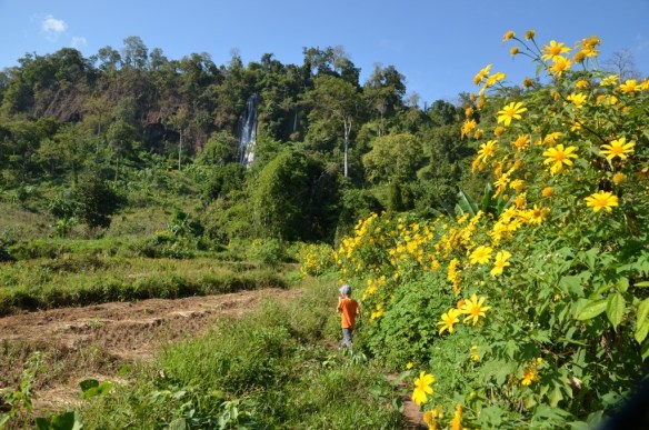 Je suis au milieu de la route. Je vois la chute au loin.
