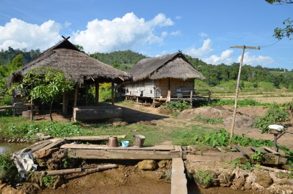 Les maisons en bambou.